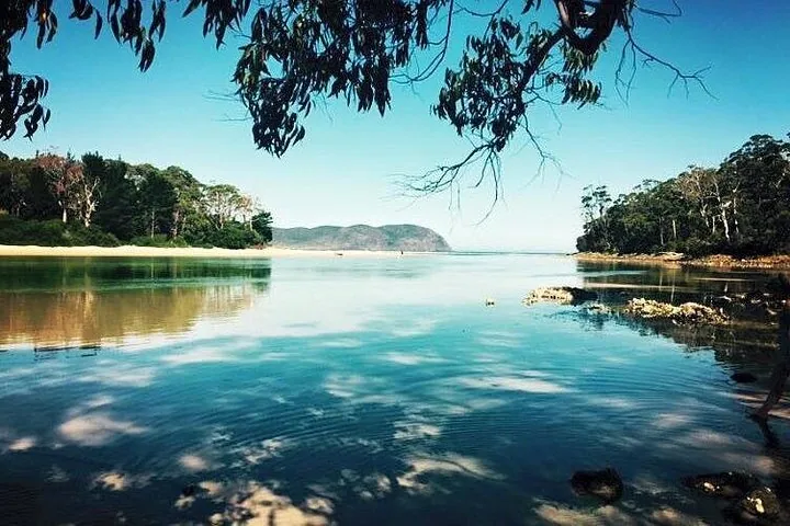 Una bahía tranquila y cristalina rodeada de árboles con montañas a lo lejos.